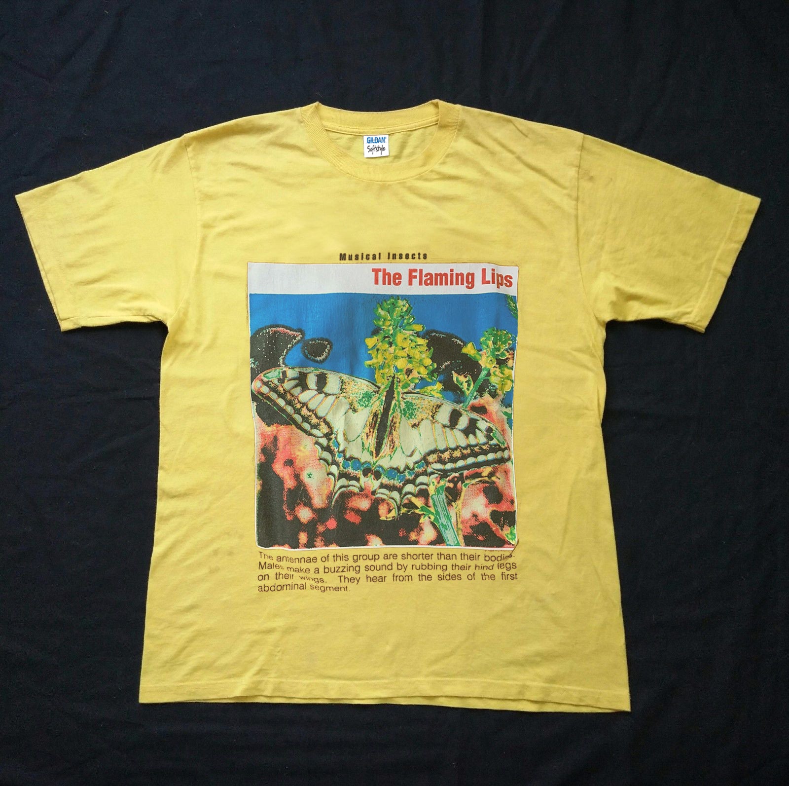 Flaming Lips – House of vintage shirt